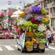 Parade florale Rijnsburg